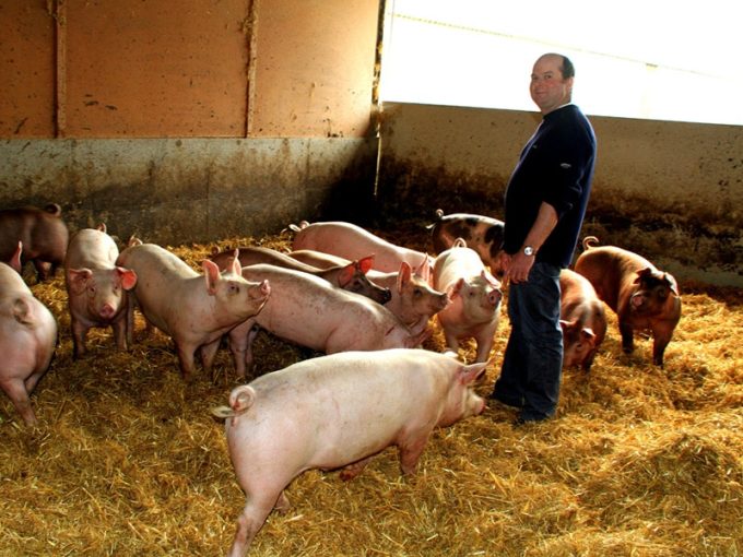 Ferme de Tachen C&rsquo;Hoadic