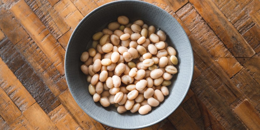 Coco de Paimpol : Saison, récolte, Recettes… [GUIDE]
