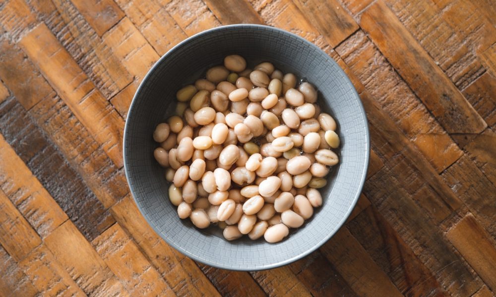 Coco de Paimpol : Saison, récolte, Recettes… [GUIDE]
