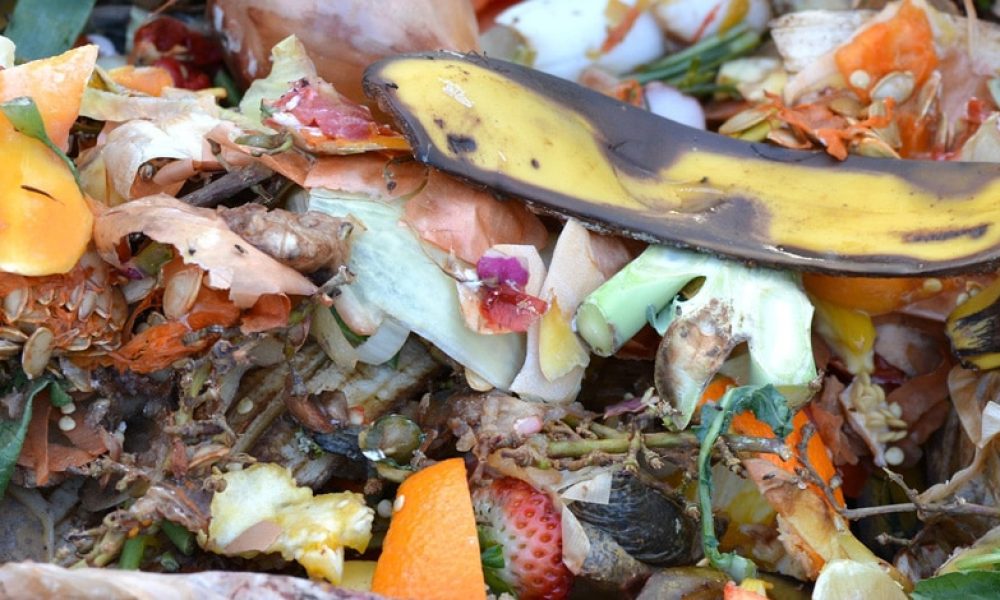 Compostage : quels sont les déchets compostables ?