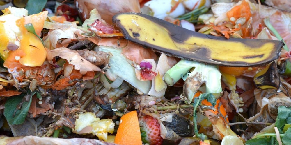 Compostage : quels sont les déchets compostables ?