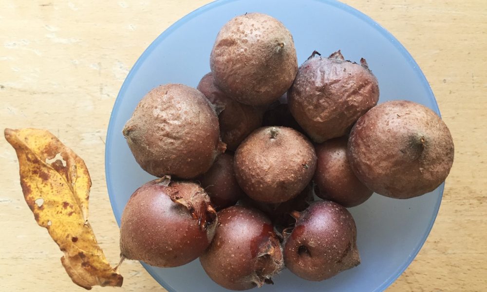 Compote de Nèfles : la recette