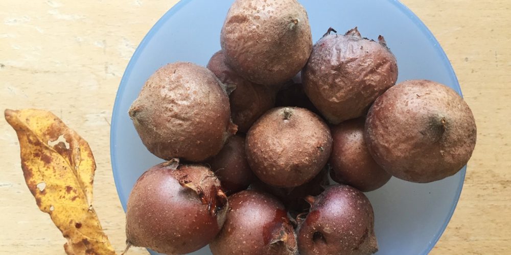 Compote de Nèfles : la recette
