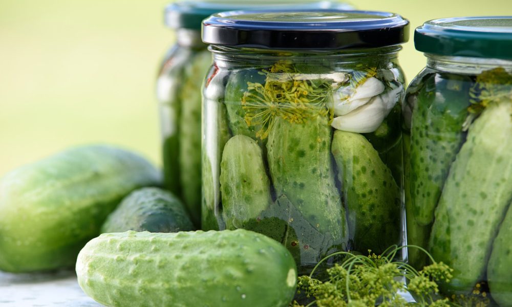 Le Cornichon : Origine, Bienfaits, Cultures… et idées de recettes !
