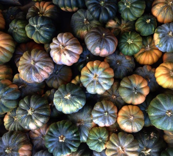 Courges d'automne