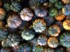 Courges d'automne