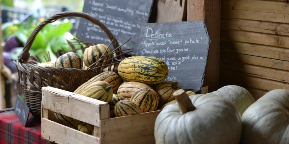 Guide des légumes de saison : le calendrier mois par mois