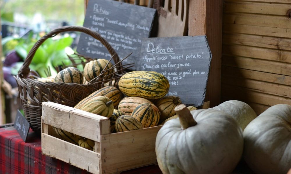 Guide des légumes de saison : le calendrier mois par mois