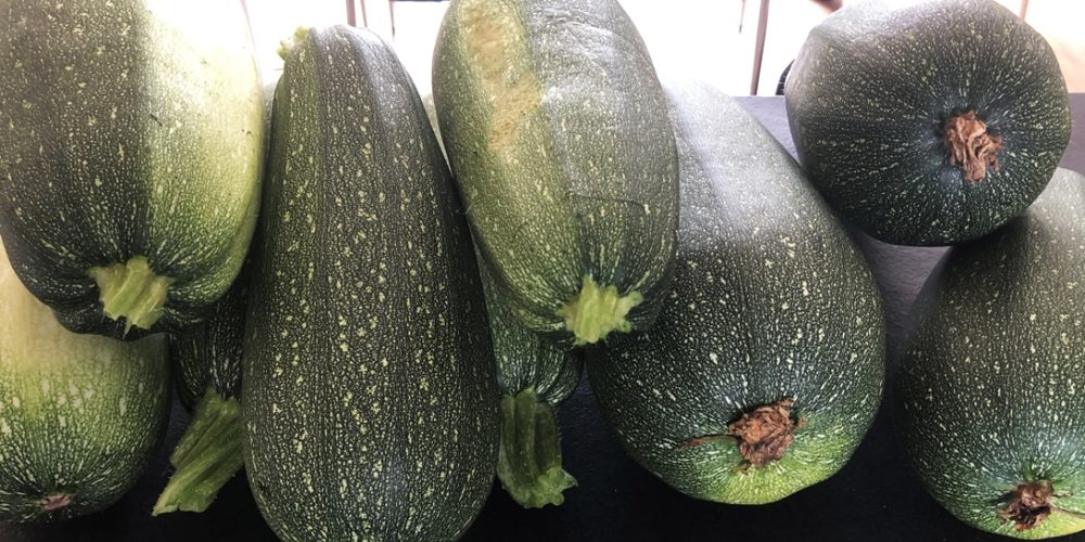 Recette de saison : tarte à la courgette et au pâtisson