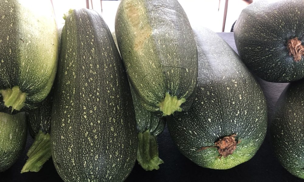 Recette de saison : tarte à la courgette et au pâtisson
