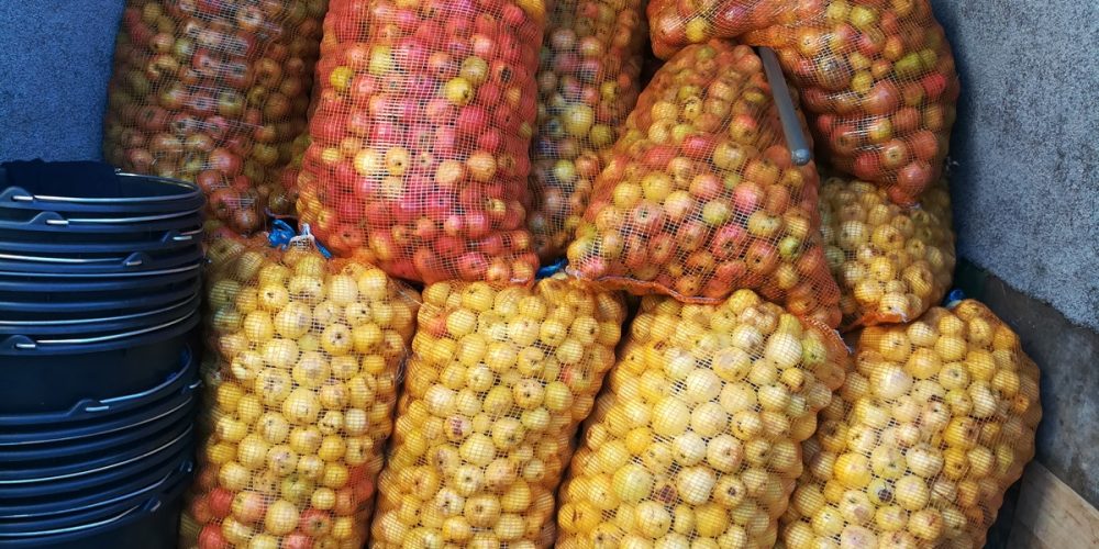 Combien de kilos de pomme pour faire un litre de cidre ?