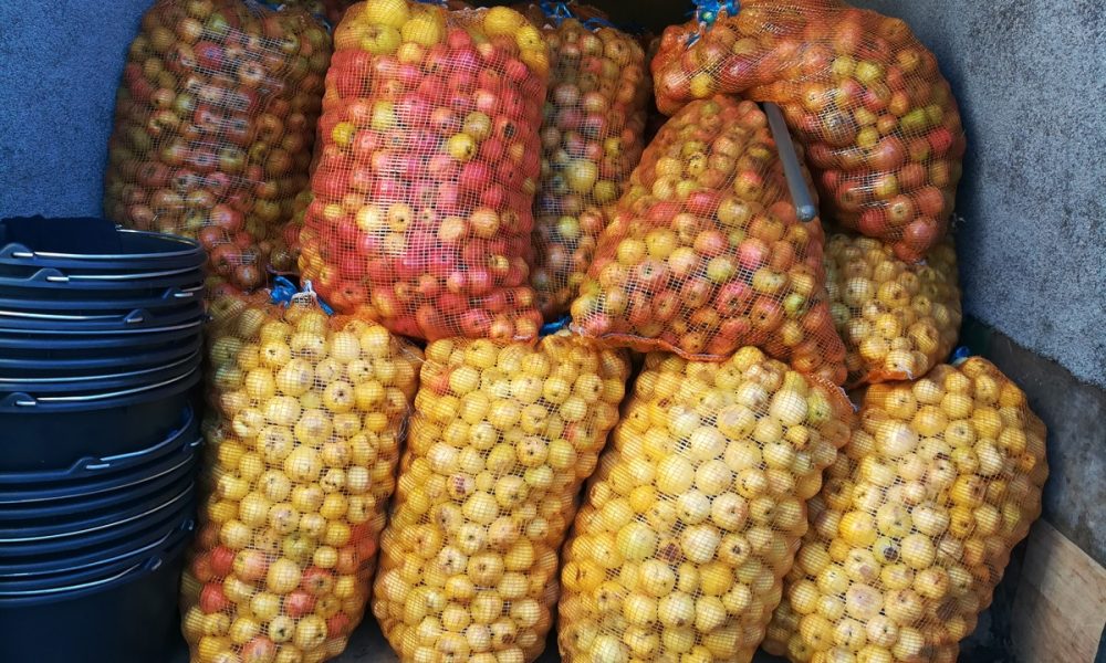 Combien de kilos de pomme pour faire un litre de cidre ?