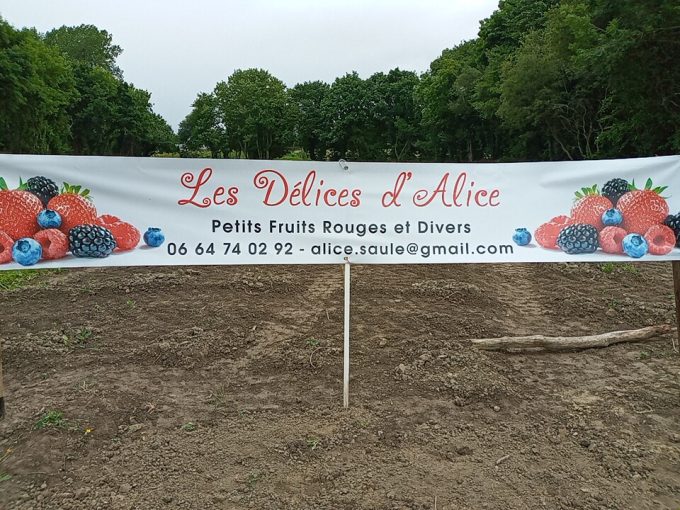 Les Délices d'Alice - banderole logo