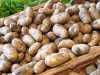 Pommes de terre