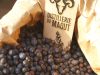 La Distillerie du Maout - baies de genièvre