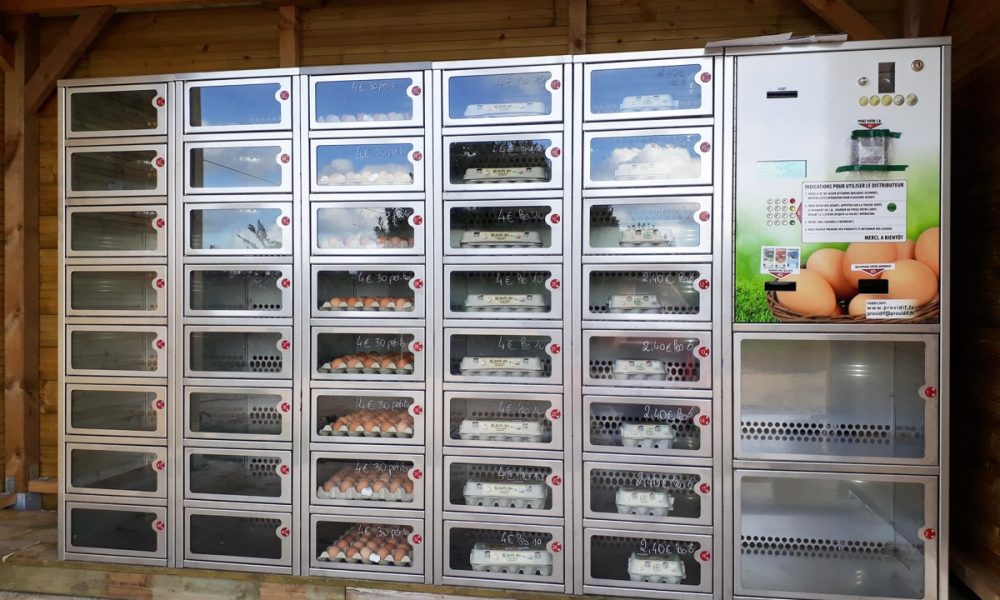 Distributeur automatique d’œufs frais : une solution pour acheter en local !