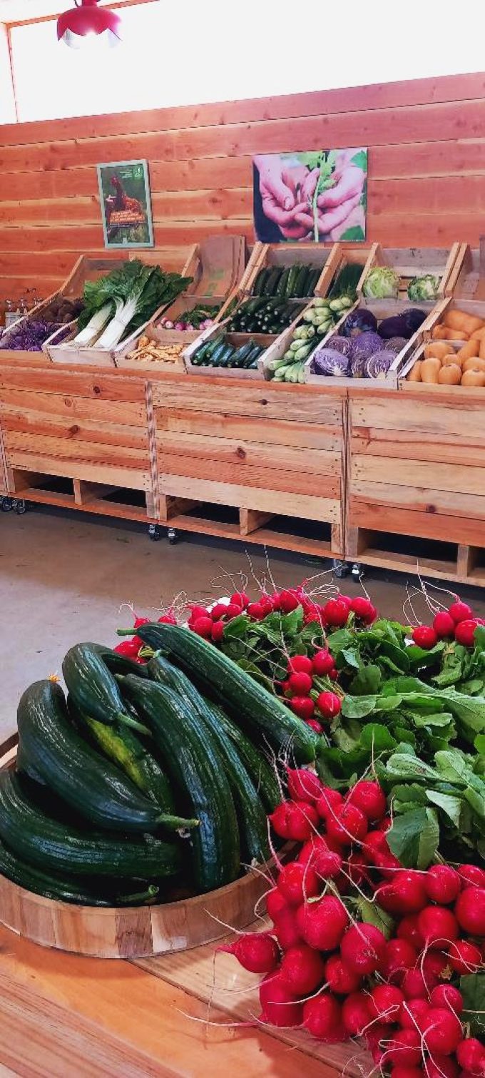 Vente de légumes en panier ou détails