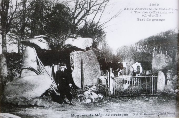 Allée couverte - mégalithe