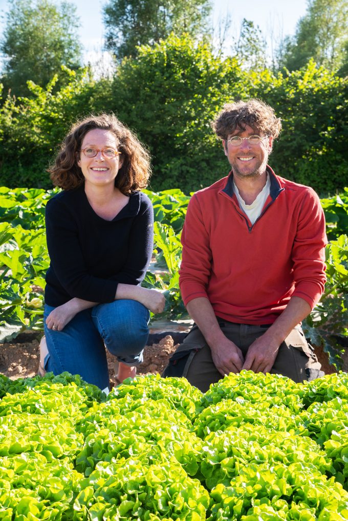 Vente de légumes de saison