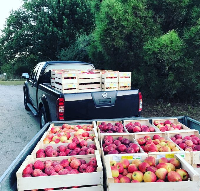 Domaine Lann Hallat - Caisses de Pommes