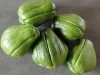 Ferme Douar Mager - Légumes