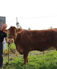 La Ferme de Logerais