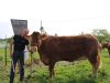 La Ferme de Logerais