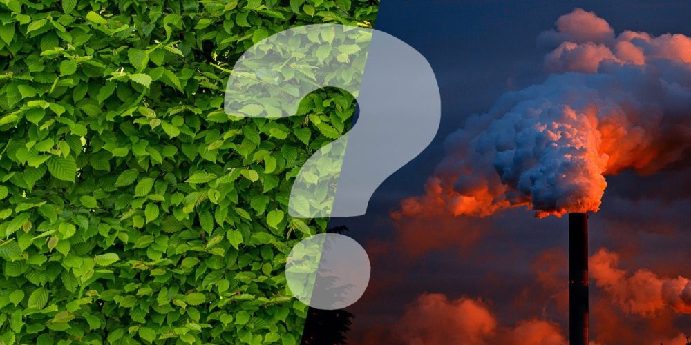 De quoi est composée ton empreinte écologique 👣 et comment faire pour la réduire ?