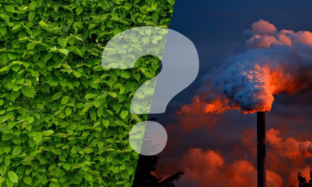De quoi est composée ton empreinte écologique 👣 et comment faire pour la réduire ?