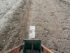 Saison de plantation