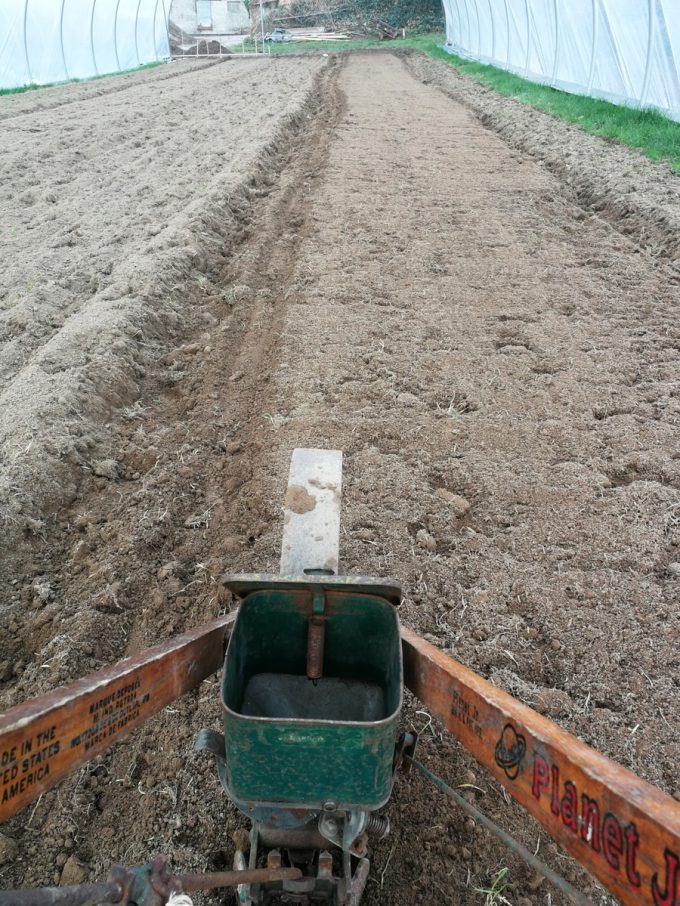 Saison de plantation