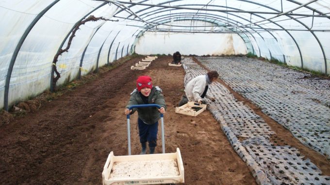 Travaux dans les serres... en famille !