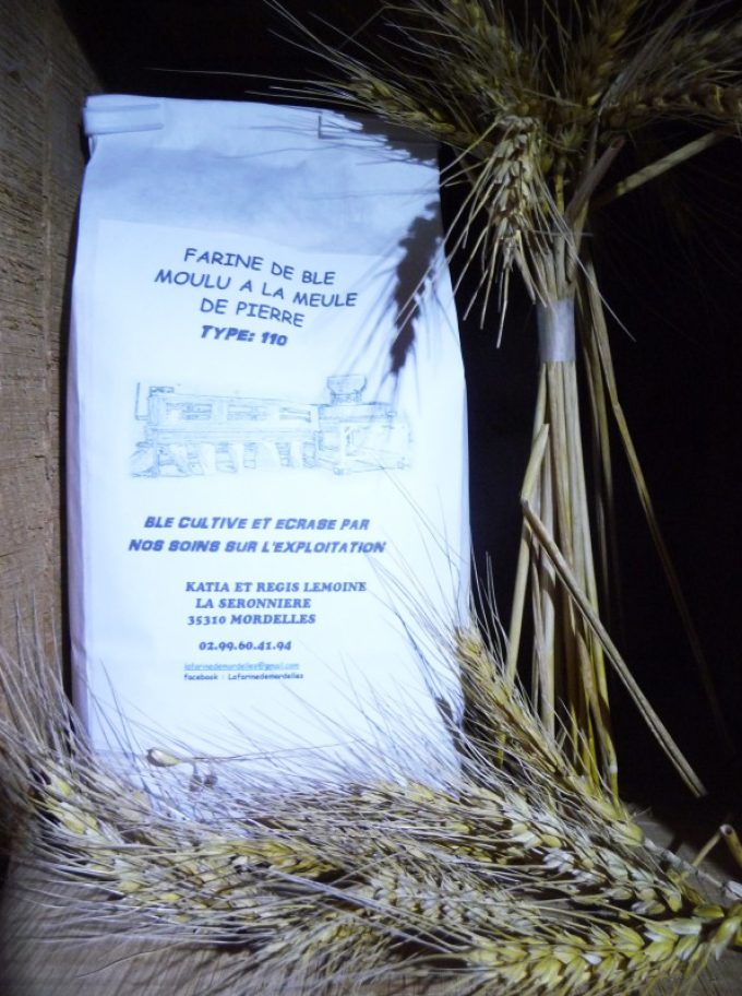 Farine de blé T110