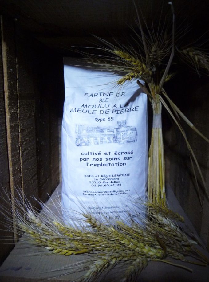 Farine de blé T65