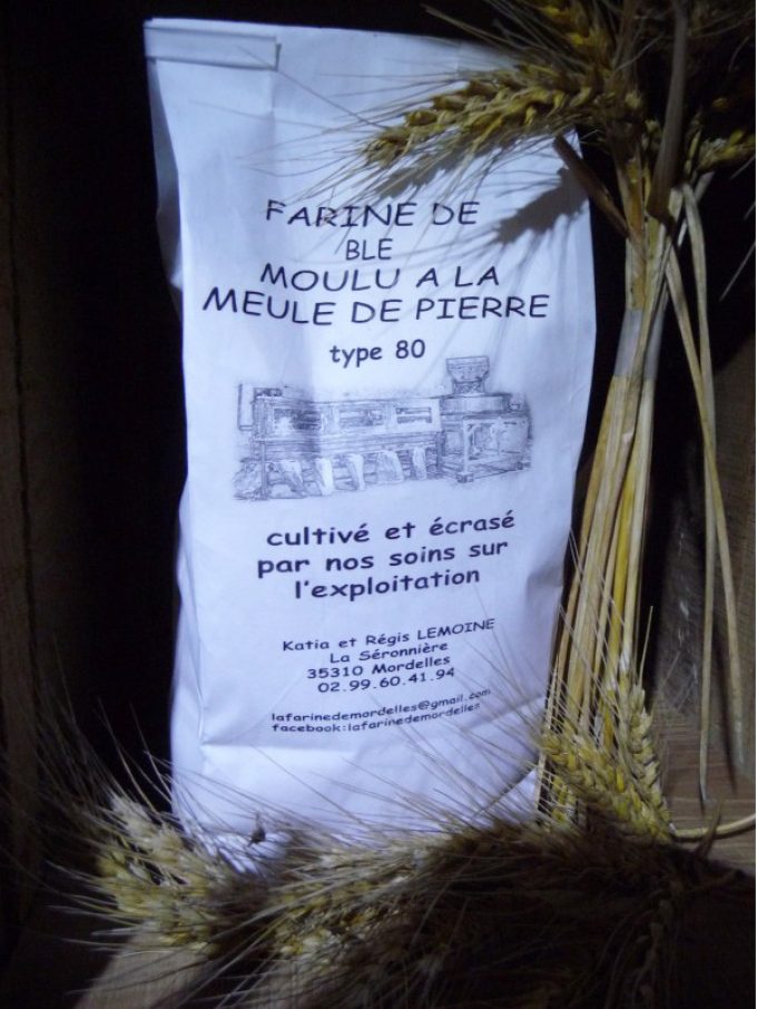 Farine de blé T80
