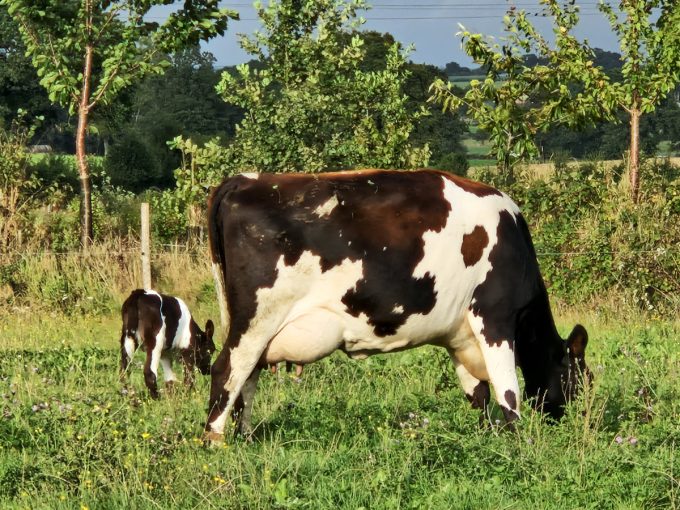 La Ferme du Grand Pâtis