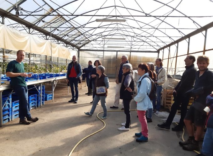 Ferme bio de Suscinio - serres