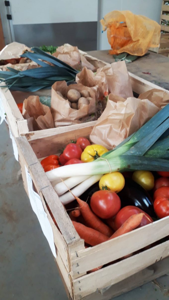 Ferme bio de Suscinio