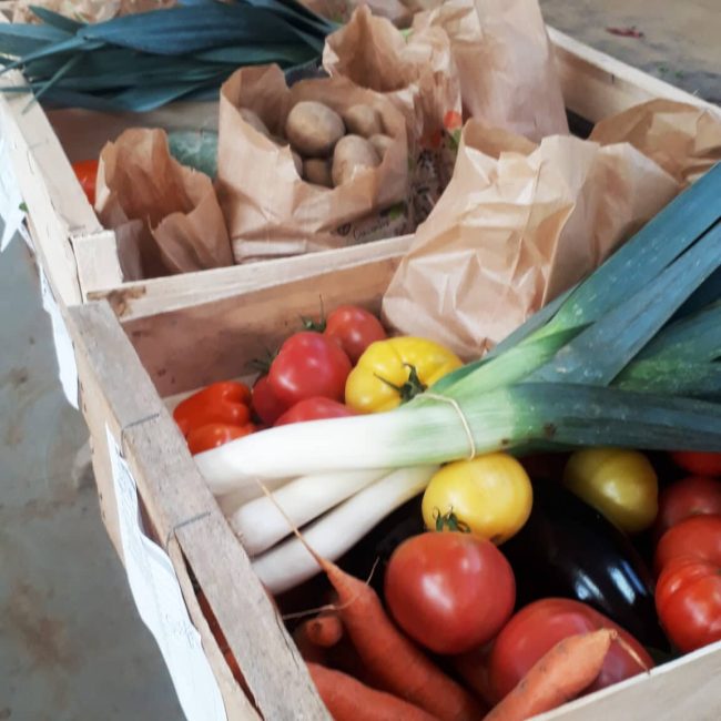 Ferme bio de Suscinio
