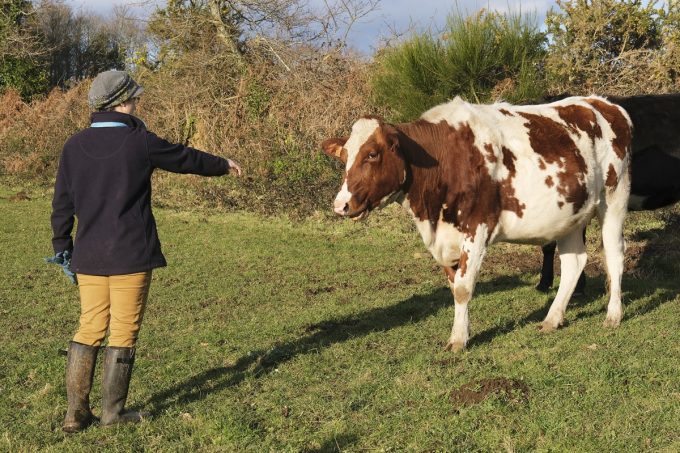 La Ferme des Bons Enfants - Virginie et sa vache