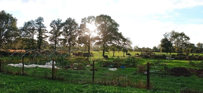 La Ferme de Bréhon - notre environnement