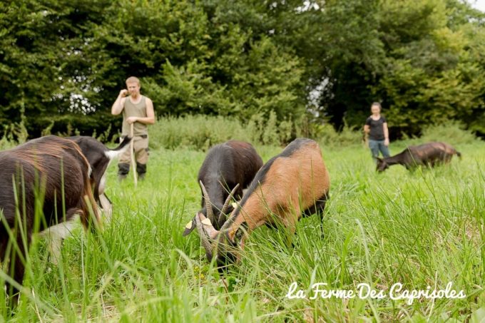 La Ferme Des Caprisoles