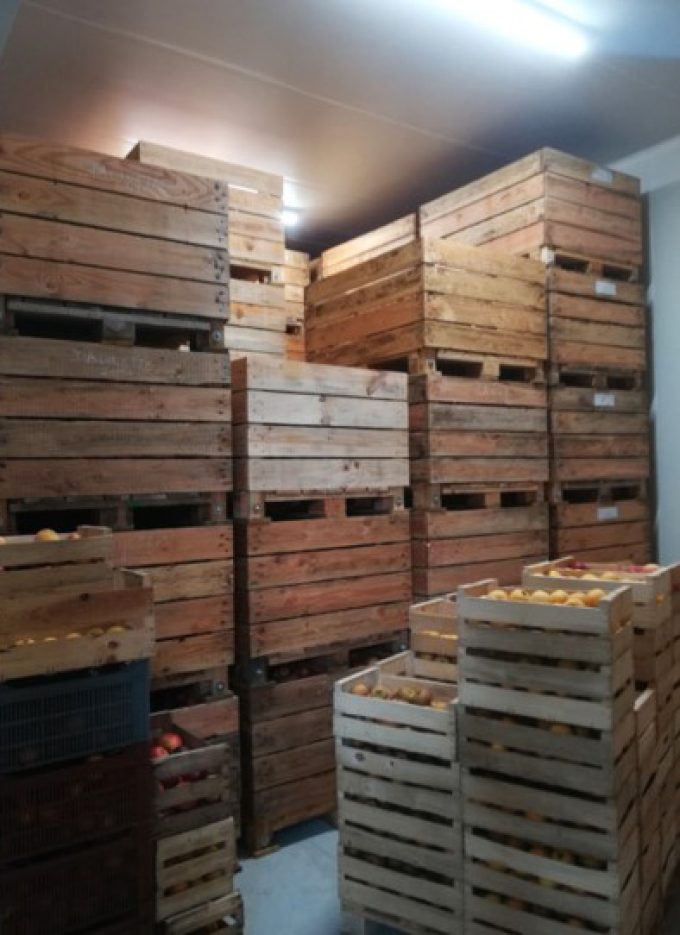 Ferme de Caric - stockage fruits
