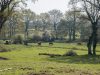 Elevage de plein air, nourris à l'herbe