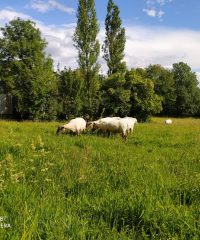 La Ferme de Coatleau