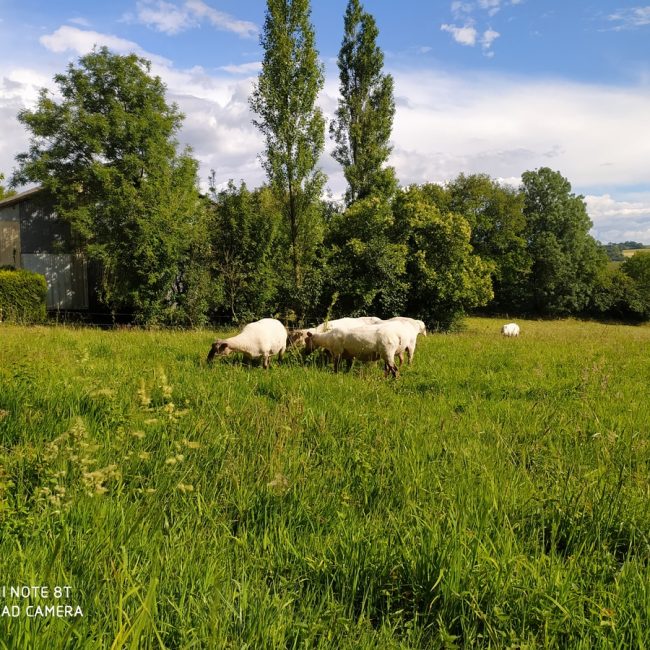 La Ferme de Coatleau