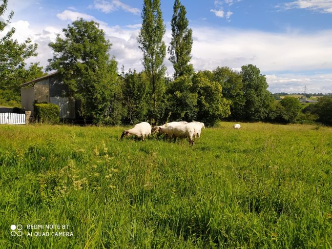 La Ferme de Coatleau