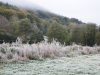 Ecrin de nature