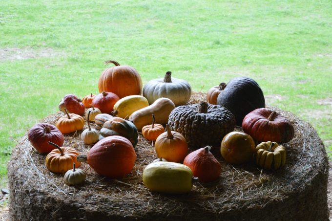 Légumes