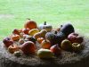 Légumes